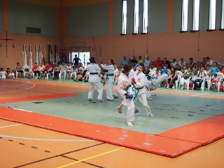 Image description